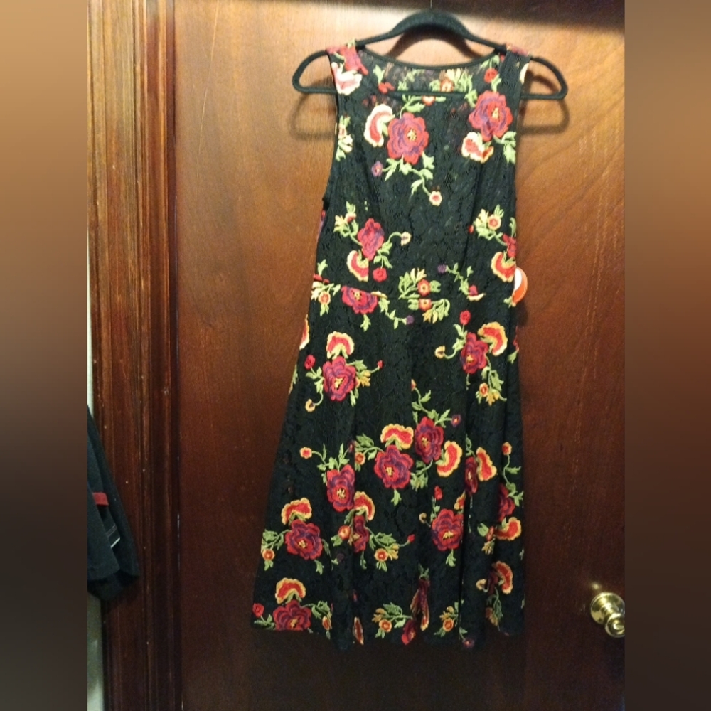 Anthropology NWT Eva Franco Embroidered Dress Size 8 NWT